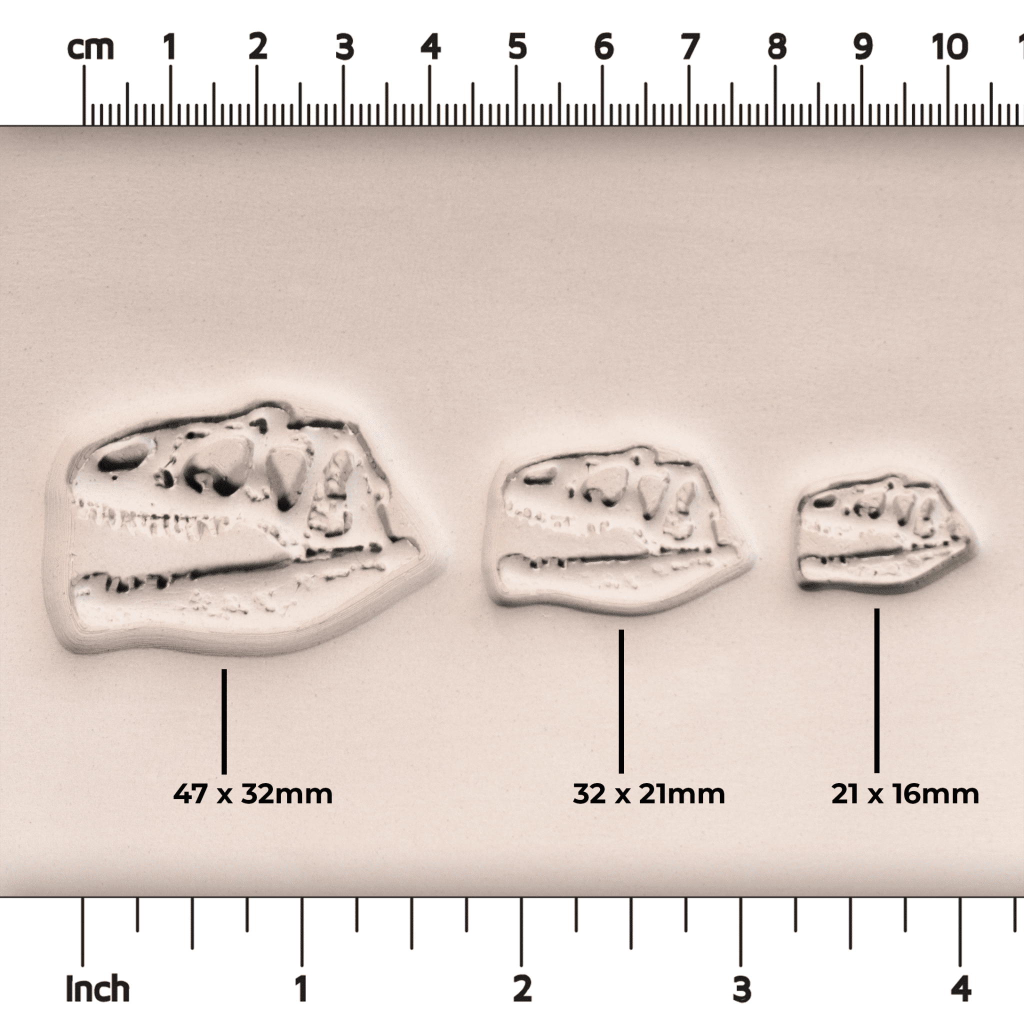 T - Rex Dinosaur Skull Fossil Stamp - Photo Textured - Style 1 | Buy Online from The Home Crafters