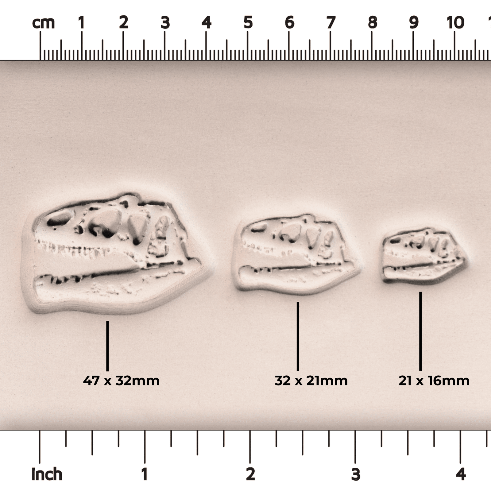 T - Rex Dinosaur Skull Fossil Stamp - Photo Textured - Style 1 | Buy Online from The Home Crafters