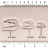T - Rex Dinosaur Skull Fossil Stamp - Photo Textured - Style 1 | Buy Online from The Home Crafters