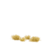 Gamers Grass Tiny (2mm) Grass Tufts - Beige Grass | Buy Online from The Home Crafters