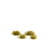 Gamers Grass Tiny (2mm) Grass Tufts - Dry Green | Buy Online from The Home Crafters