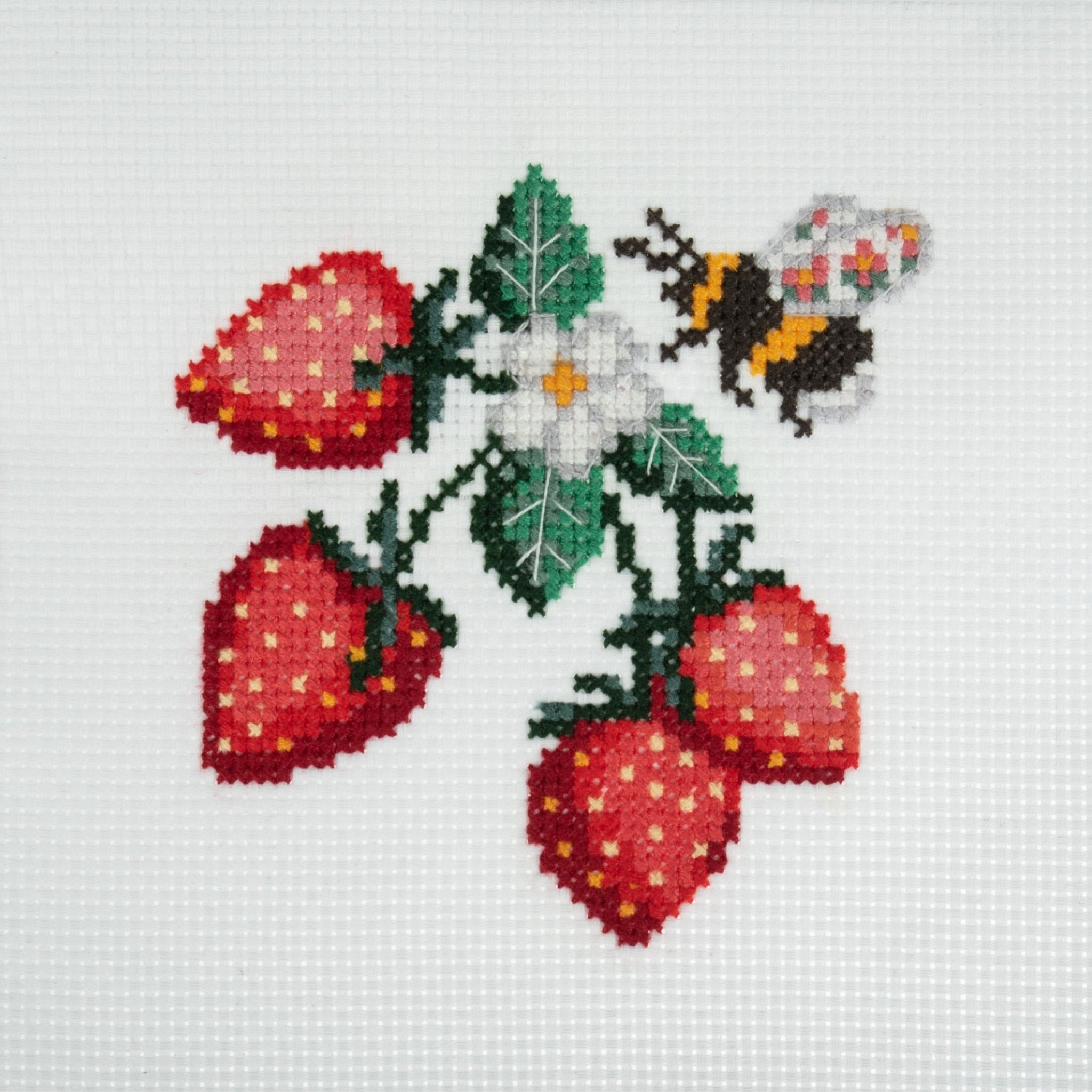 Trimits Mini Counted Cross Stitch Kit: Strawberries | Buy Online from The Home Crafters