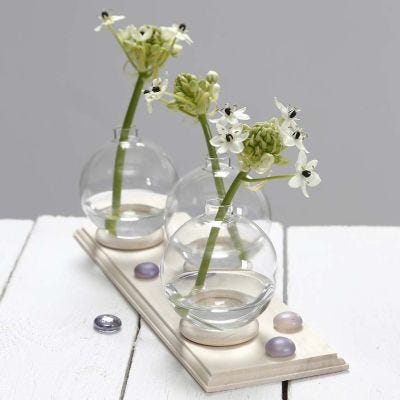 Light Wood Sign Blank - 30cm x 10cm | Buy Online from The Home Crafters