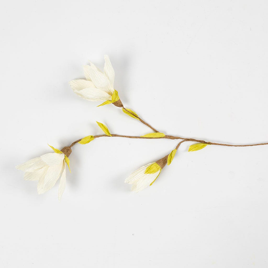Mini Craft Kit: Crepe Paper - Magnolia Branch