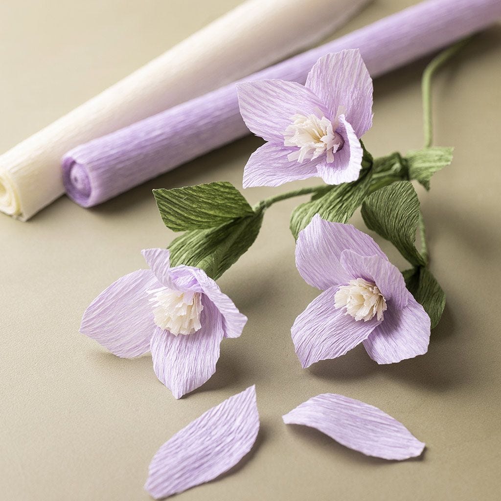 Craft Kit: Crepe Paper - Everlasting Flower Bouquet