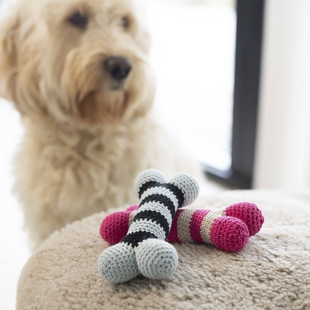 Mini Craft Kit: Crochet - Dog Bone Squeaky Toy
