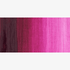 Winsor & Newton Winton Oil Colour Tube - 37ml | Buy Online from The Home Crafters
