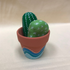 Crafting for Kids: Rock Cacti in a Pot - Monday 5th August