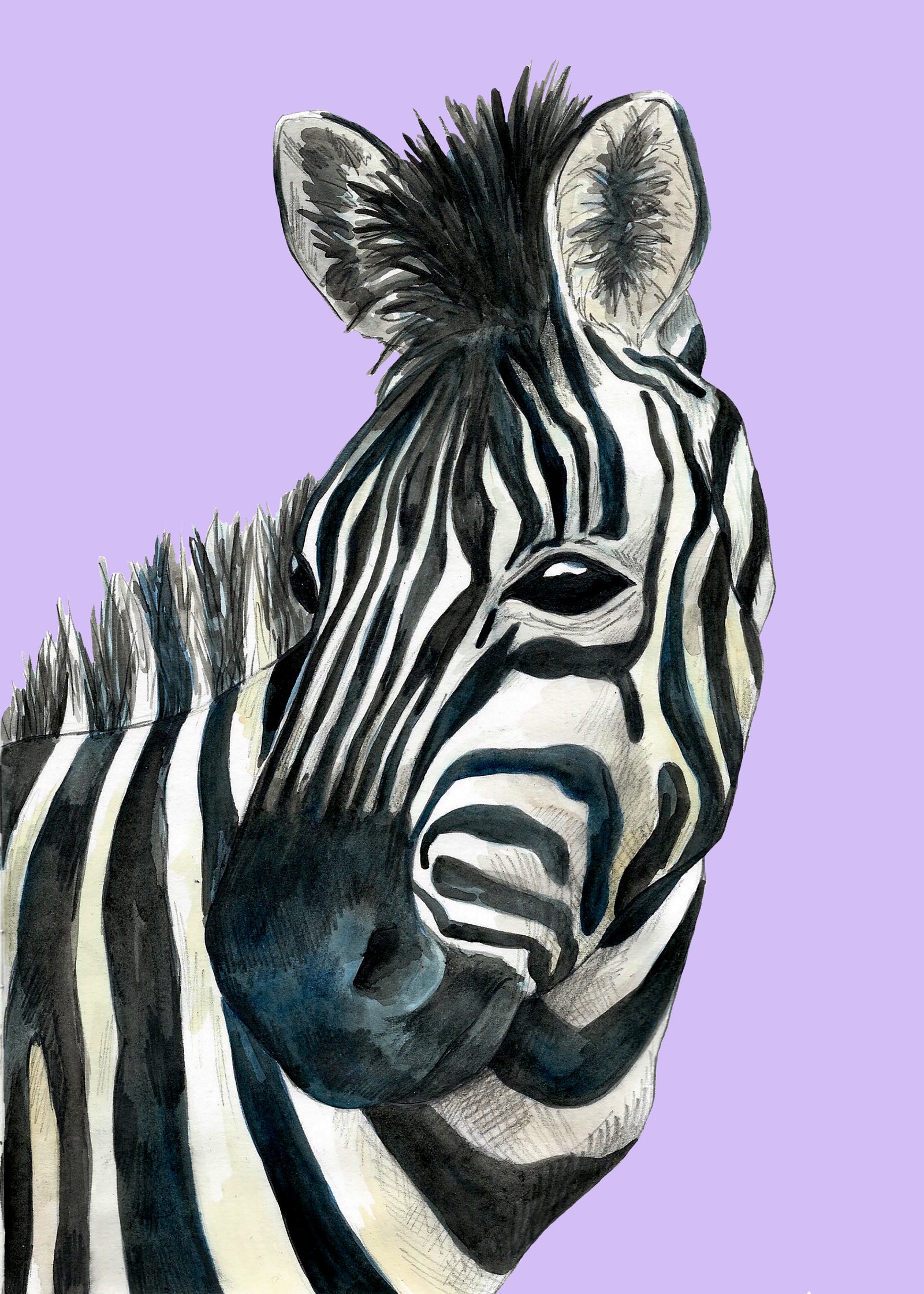 Handmade Wildlife Greetings Card - Zebra