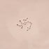 Zodiac Stamps - Astrological Constellations | Buy Online from The Home Crafters