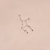 Zodiac Stamps - Astrological Constellations | Buy Online from The Home Crafters