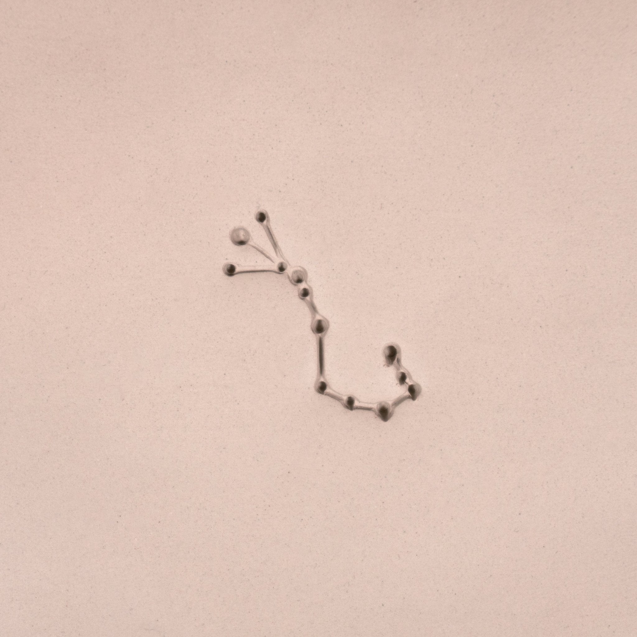 Zodiac Stamps - Astrological Constellations | Buy Online from The Home Crafters