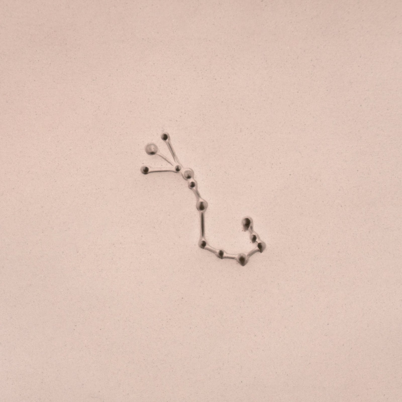 Zodiac Stamps - Astrological Constellations | Buy Online from The Home Crafters