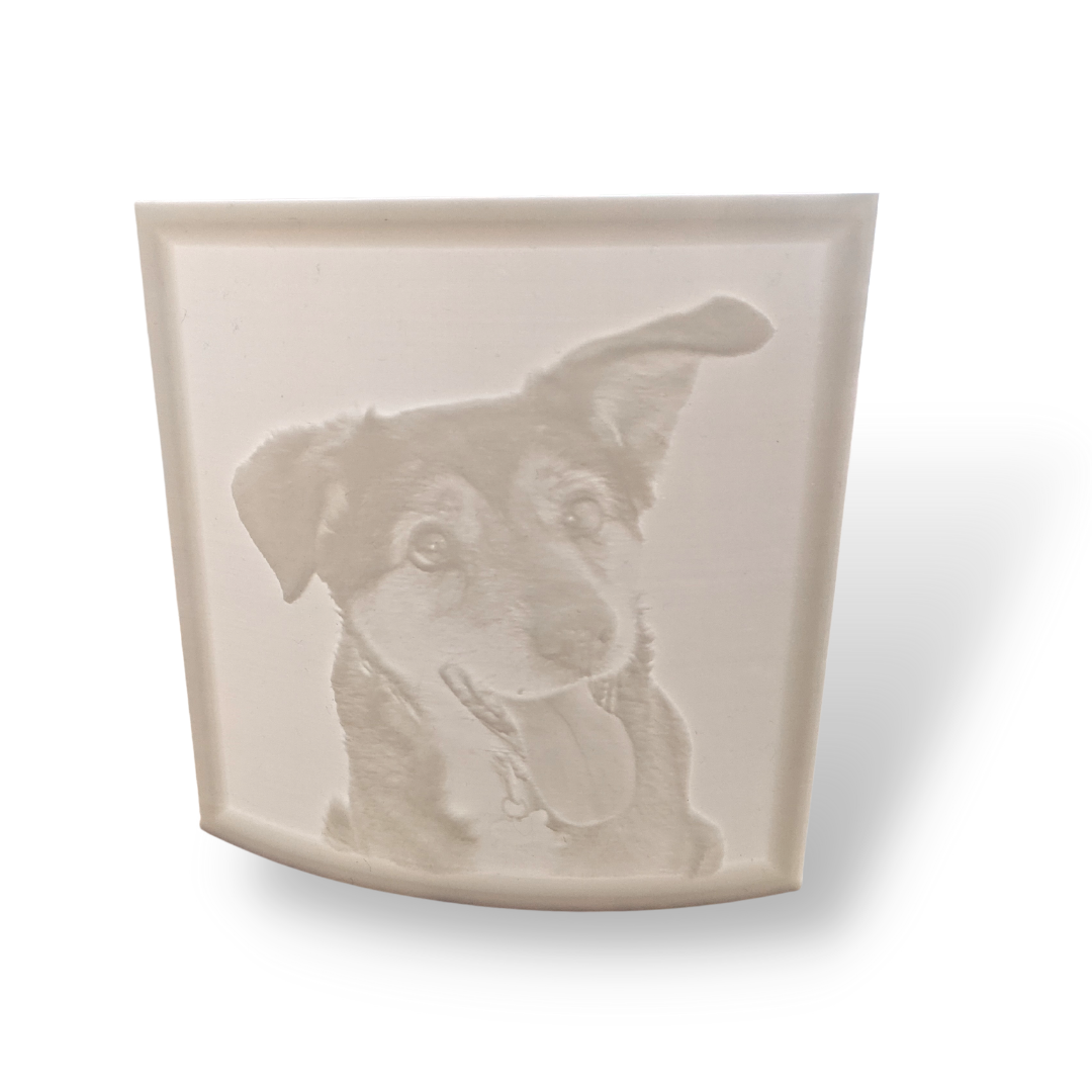 City 17 3d Printed Lithophane: 3d Photograph - made to order