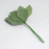 Green Rose Leaves - 12 stems
