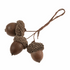 Natural Acorns on Wires - 9pk