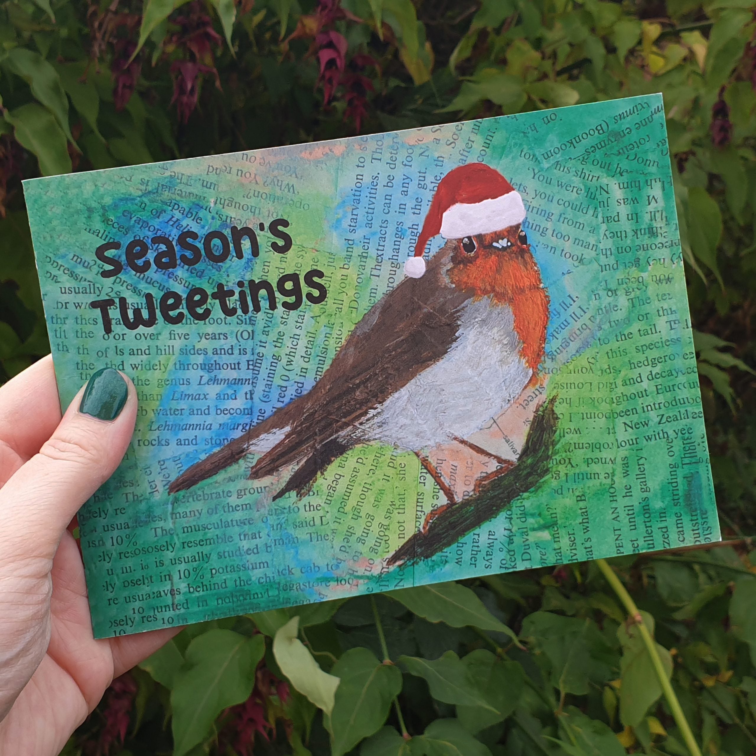 Themshed Creative Greetings Card - Charlie the Christmas Robin