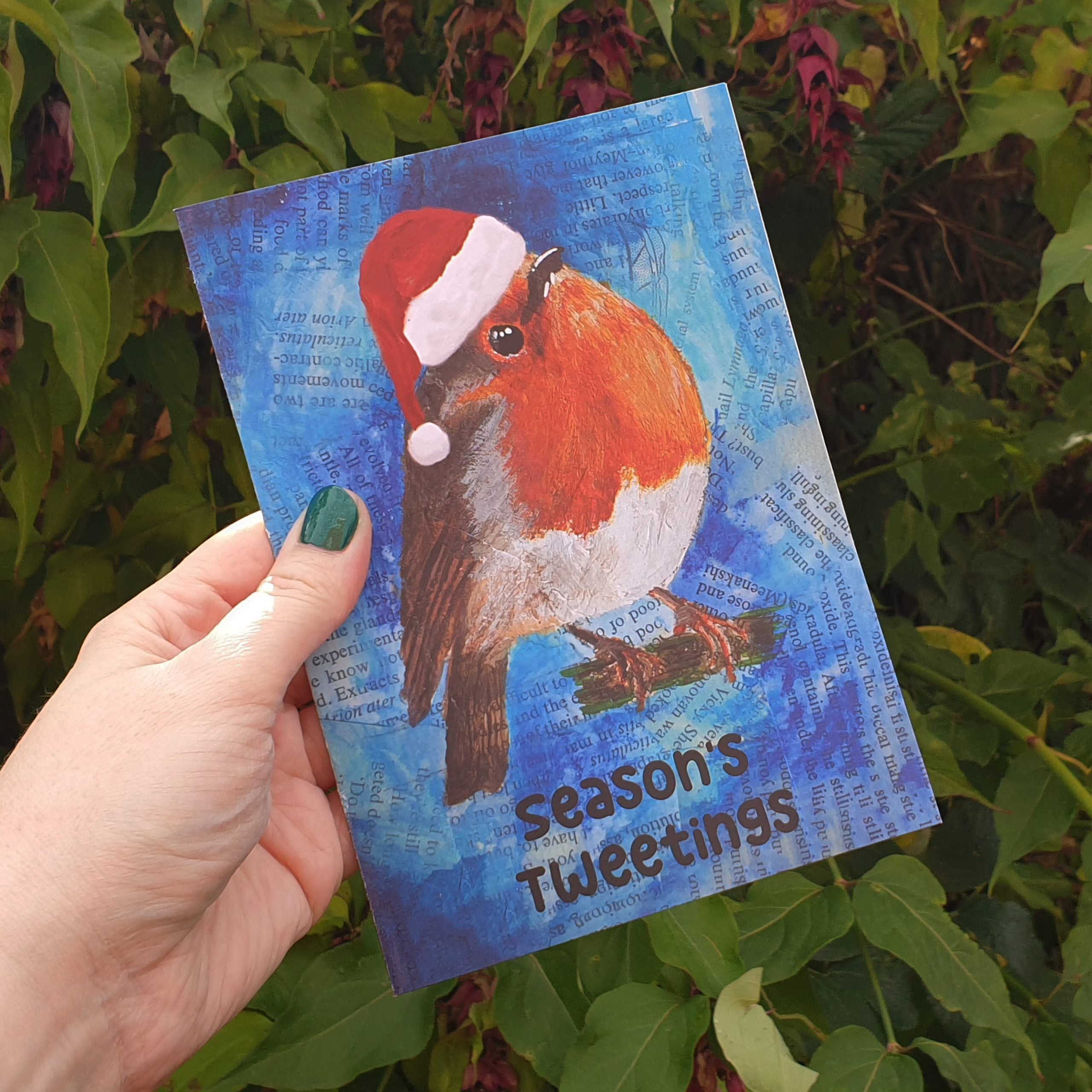 Themshed Creative Greetings Card - Lou the Christmas Robin