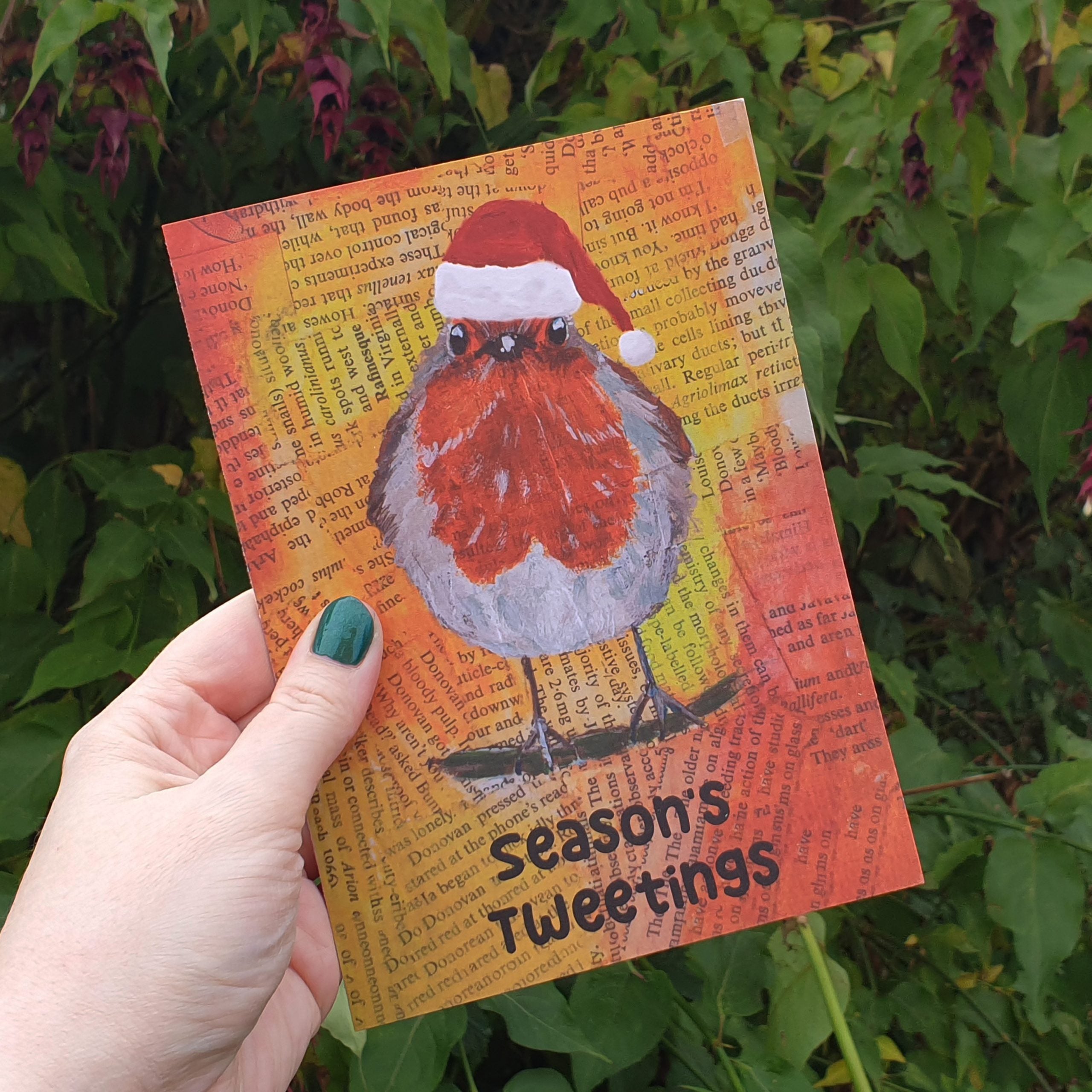 Themshed Creative Greetings Card - Robert the Christmas Robin