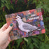 Themshed Creative Greetings Card - Stephen the Christmas Seagull