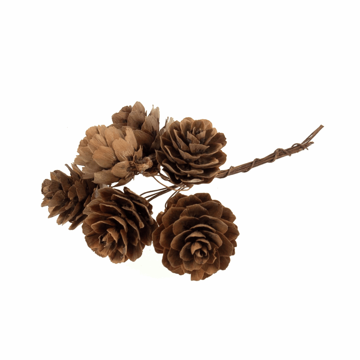 Pinecones on Wire: Natural: bunch of 6