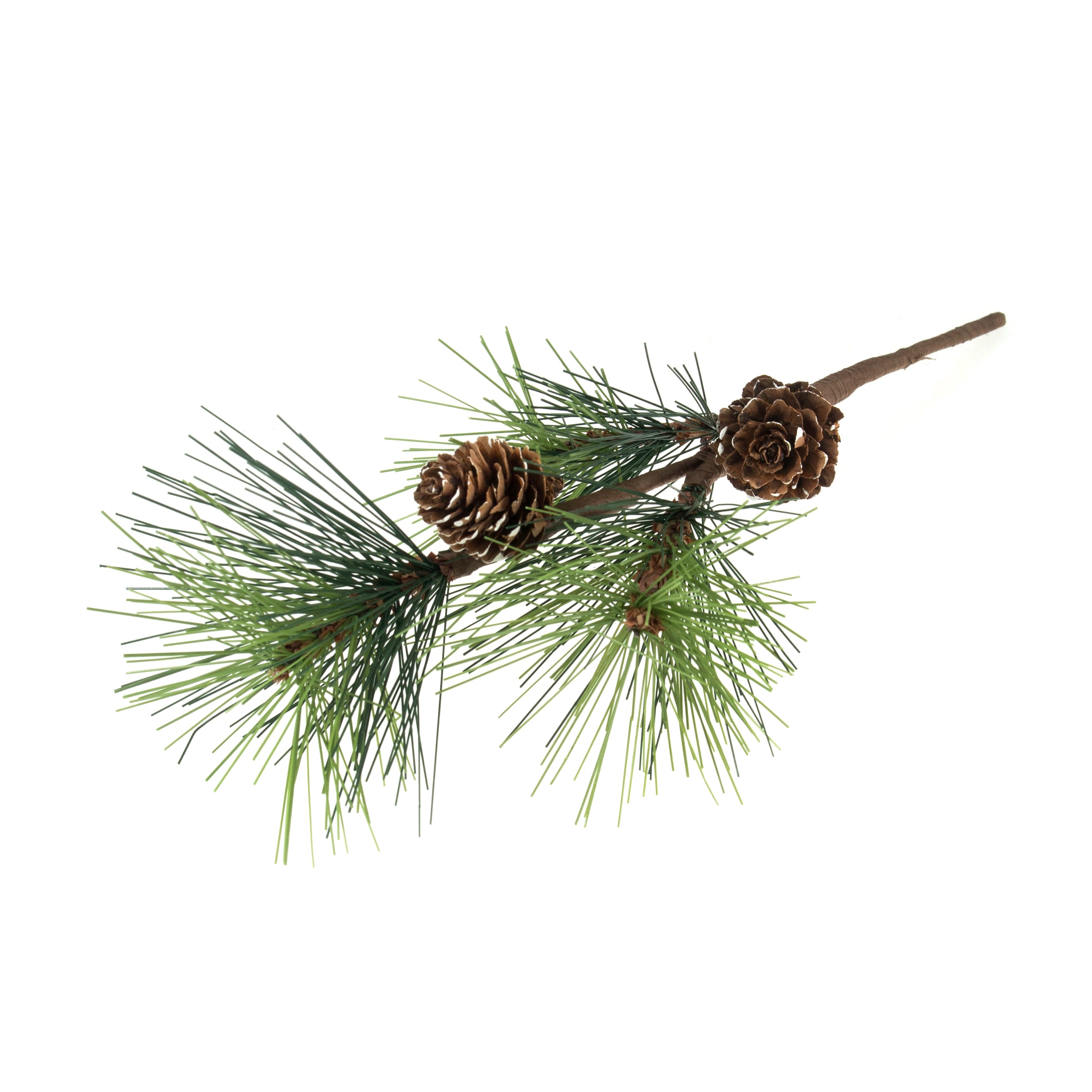 Scotch Pine Branch with Pinecones - 25cm