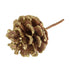Gold Glitter Pinecone on Stick - Single Stem | Buy Online from The Home Crafters