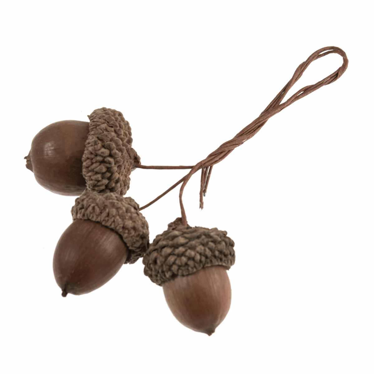 Natural Acorns on Wires - 9pk | Buy Online from The Home Crafters